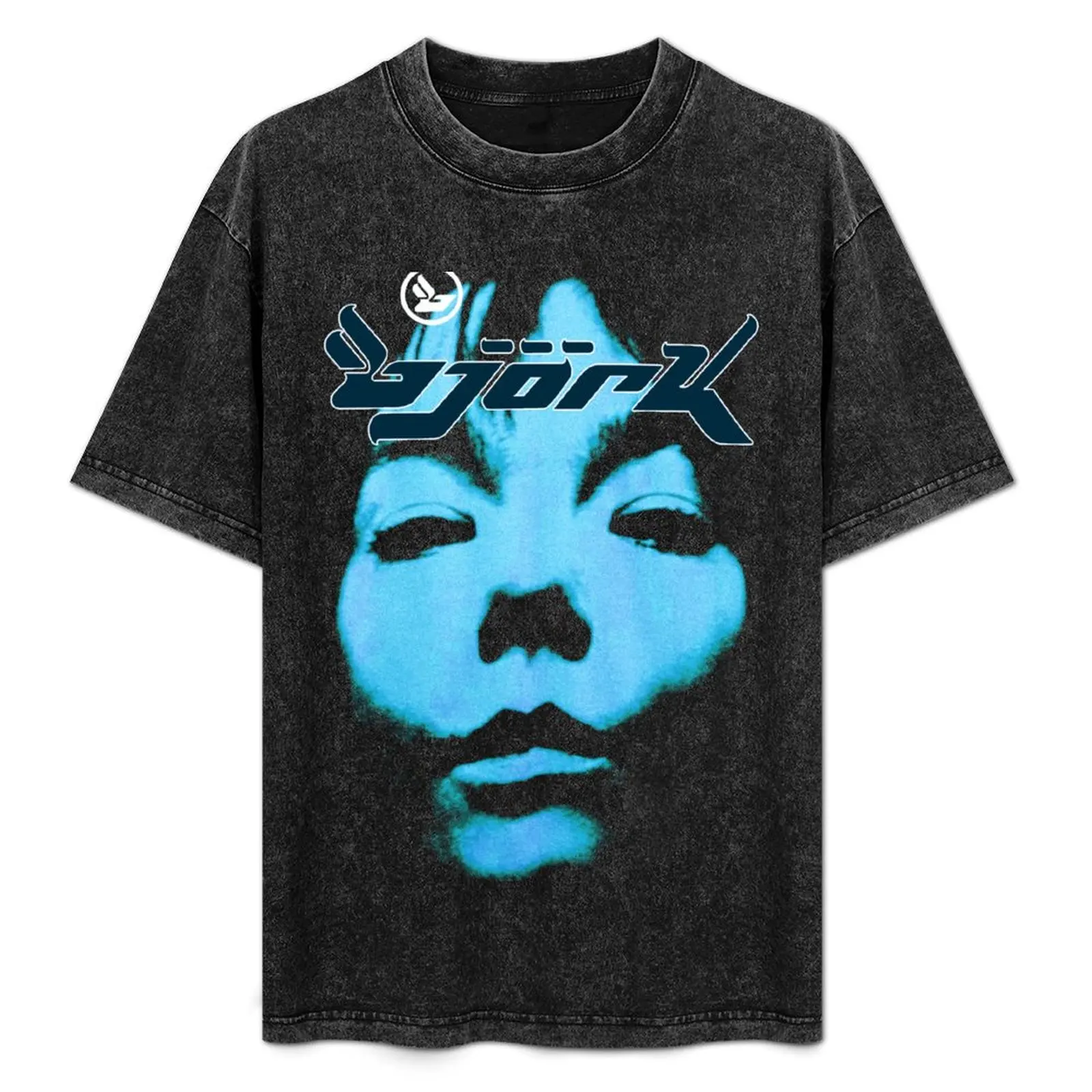 

Bjork Homogenic Vintage Face Logo (Blue) T-Shirt heavyweights rapper graphic tees slim fit t shirts for men