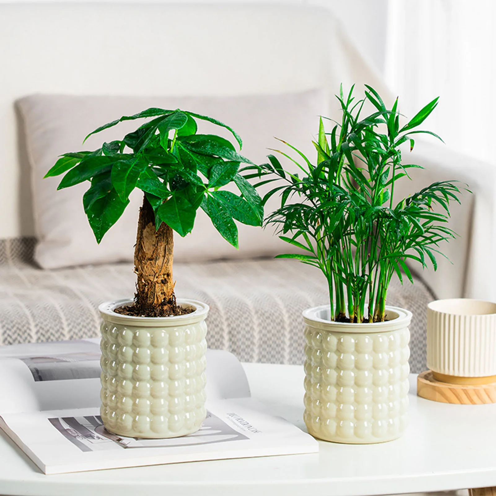 Self Watering Flowerpot Hydroponic Flower Pot Automatic Water-Absorbing Flowerpot Double Layer Plastic Self Watering Planter