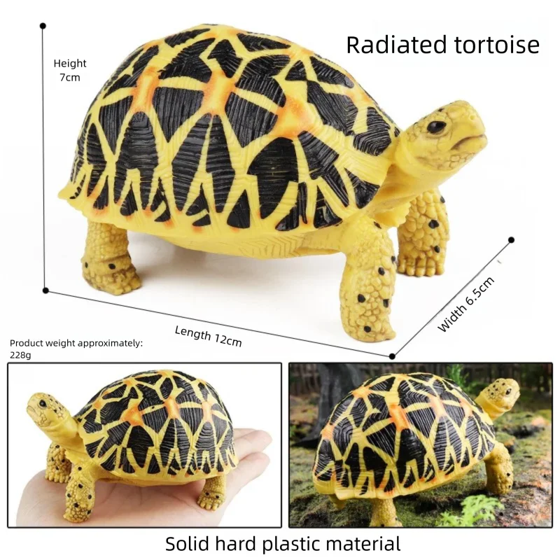 Oenux Simulations-Schildkröten-Set: Alligator, Galapagos-Schildkröte, Chinesische Weichschildkröte Figuren und Puppen – Detail 20