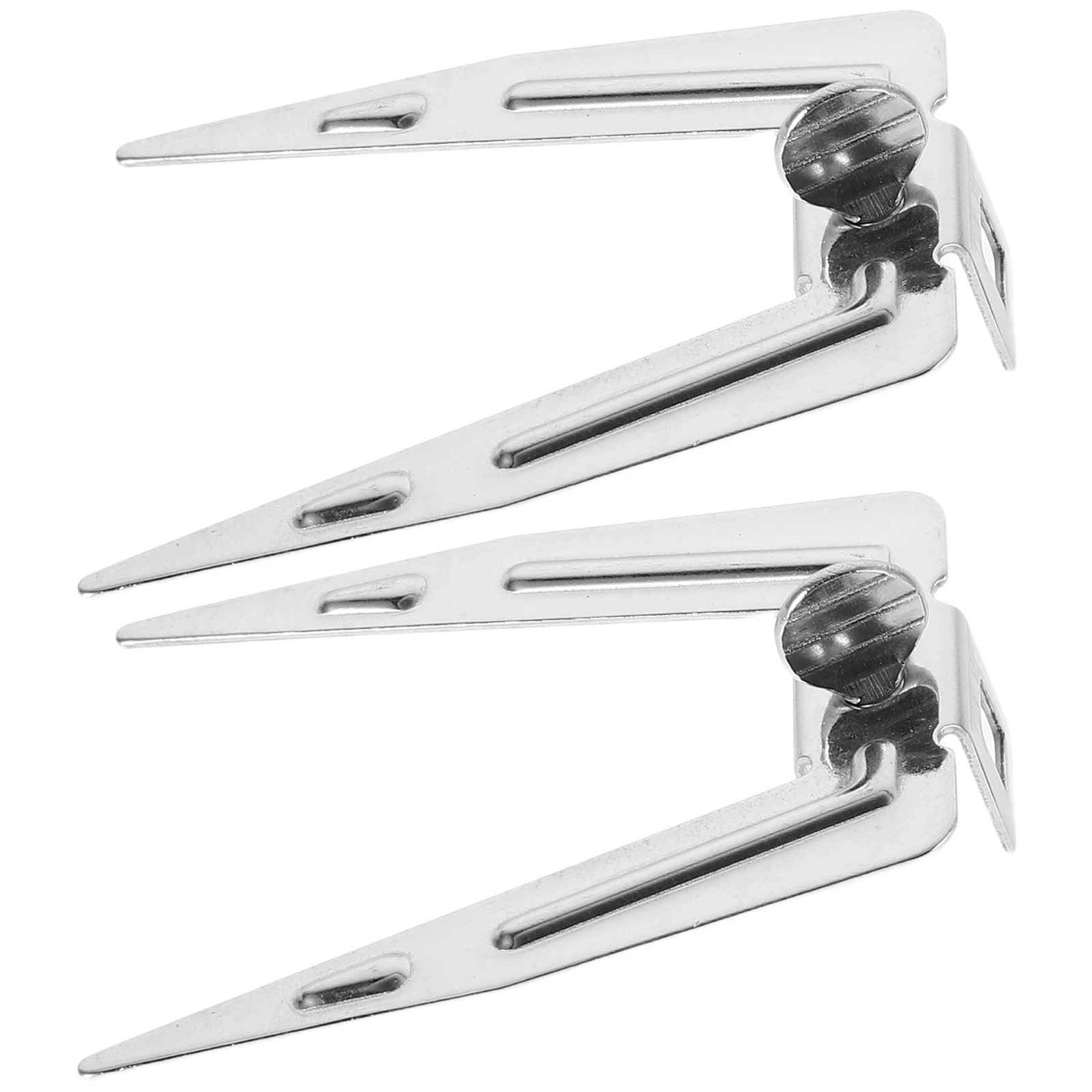 

2 Pcs Barbecue Fork Grilling Fish Meat Grilled Forks Roast Chicken Air Fryer Stainless Steel Bbq Rotisserie