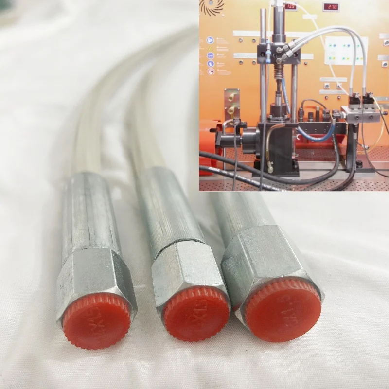 

600 мм 2200 бар масляная труба высокого давления взрывозащищенный дизельный шланг Common Rail для стенка для испытания топлива