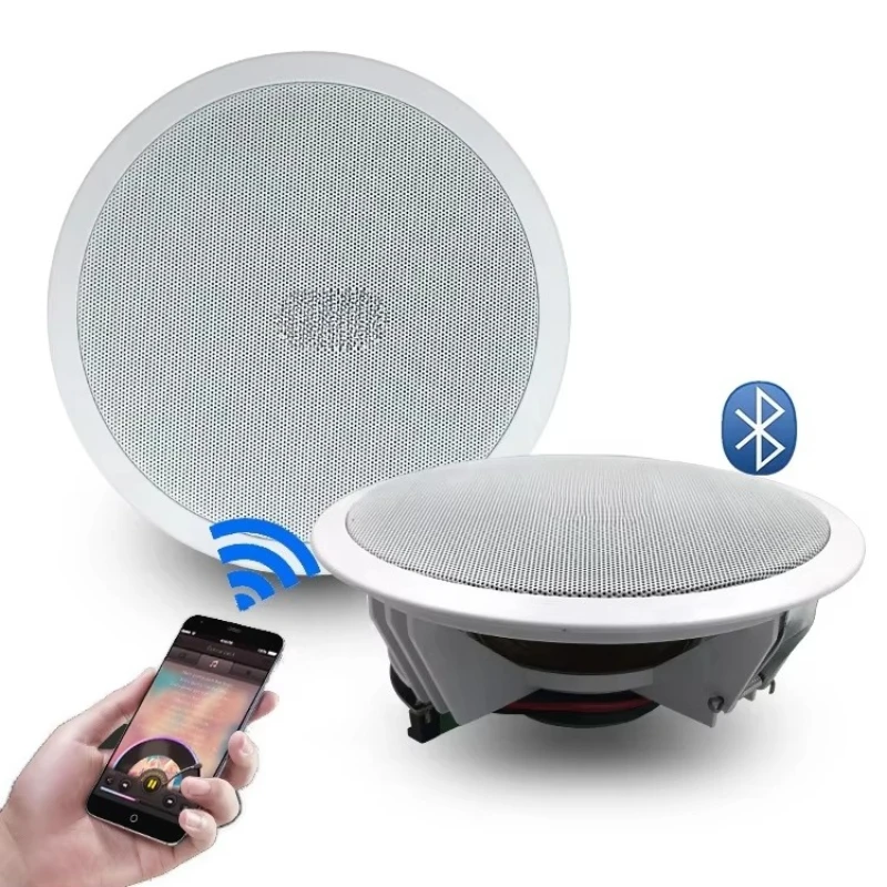 

YYHC-8-inch Active Ceiling Speaker Box Sonidos 12 to 15V Wireless BT5.0 Amp Module + Party Passive Speaker 6.5 Wireless