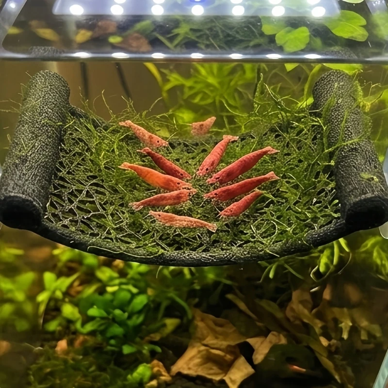 Suction Cup Rest Shelf Set for Small Glass Habitats, 2 Piece Wall Mount Shelf for Ornamental Shrimp, Plastic Water Habitat B03E