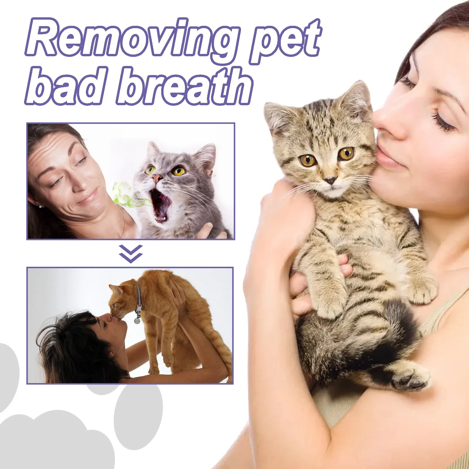 Pet Teeth Cleaner Pen Prevent Calculus Cat Mouth Fresh Teeth Stains Tartar Removal Kitten Bad Breath Oral Cleaning Dog Deodorant