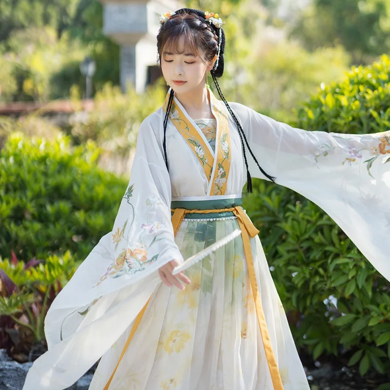 

Hanfu Women Chinese Traditional Hanfu Dance Dress Female Ancient Song Dynasty Folk Dress Tang Suit Ancient Costume for Stage