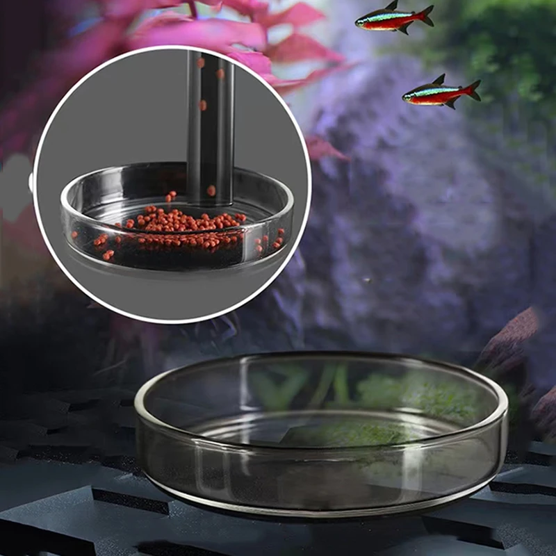 Glass Aquarium Feeder Tube Dish Transparent Fish Tank Shrimp Snail Food Feeder Bowl Aquarium Feeding Accessories Shrimp Feeders