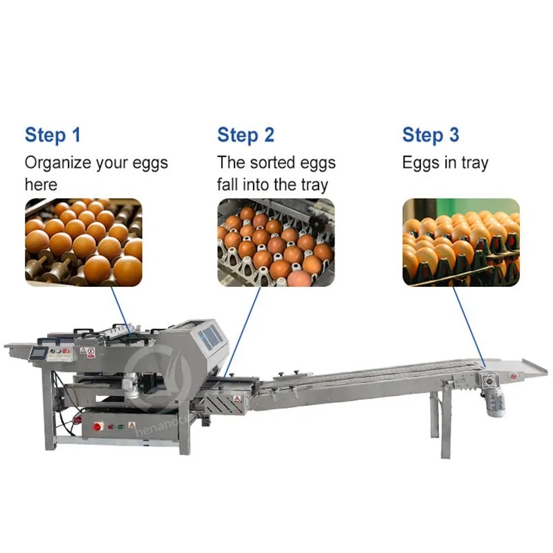 آلة تحميل صينية البيض آلة تعبئة بيض الدواجن آلة تعبئة بيض الدجاج الصغيرة للصينية #2