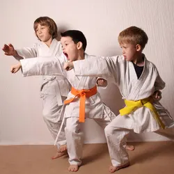 Karate belt system white, yellow, orange, green, blue, purple, red, brown, black, children, youth, training, 1-10Kyu