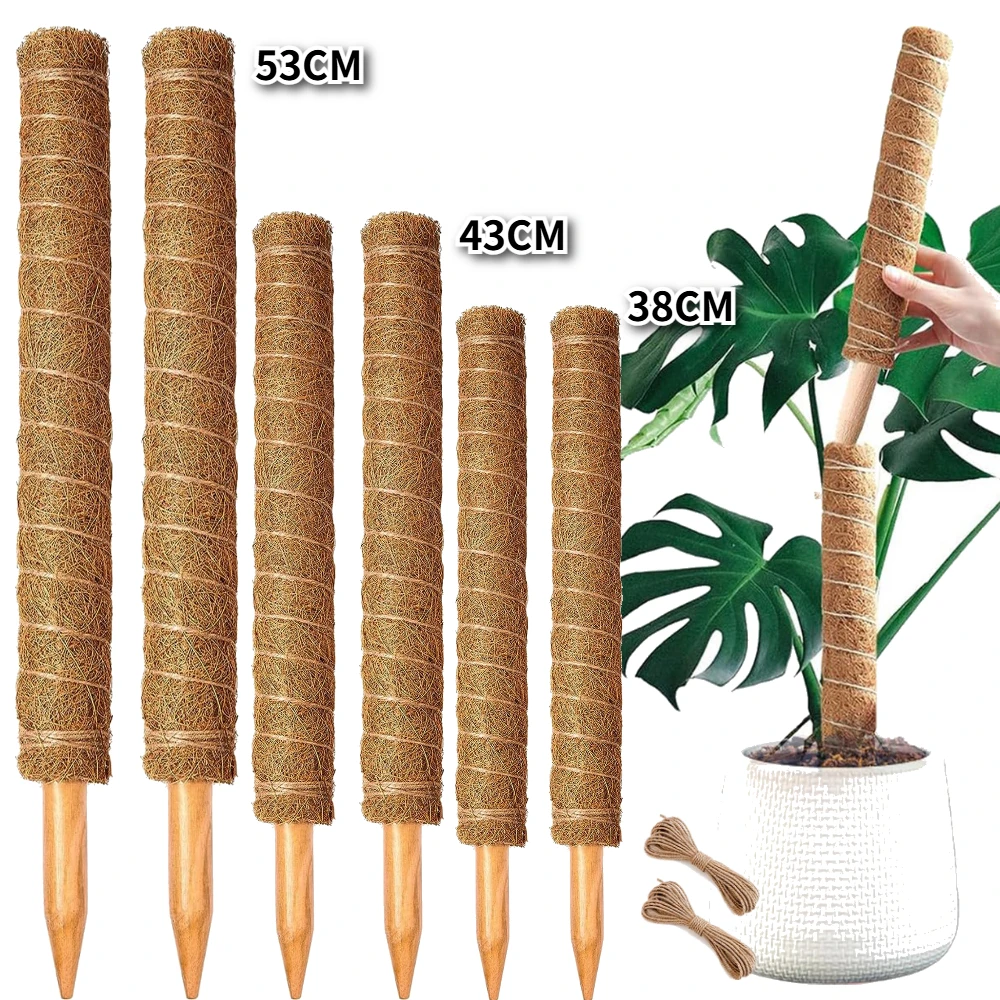 38/43/53CM Bitki Tırmanma Çubuğu, Güvenli Bahçecilik İçin Hindistan Cevizi Çubuğu, Tırmanan Bitkiler, Sarmaşıklar ve Sürüngenler İçin Bitki Desteği