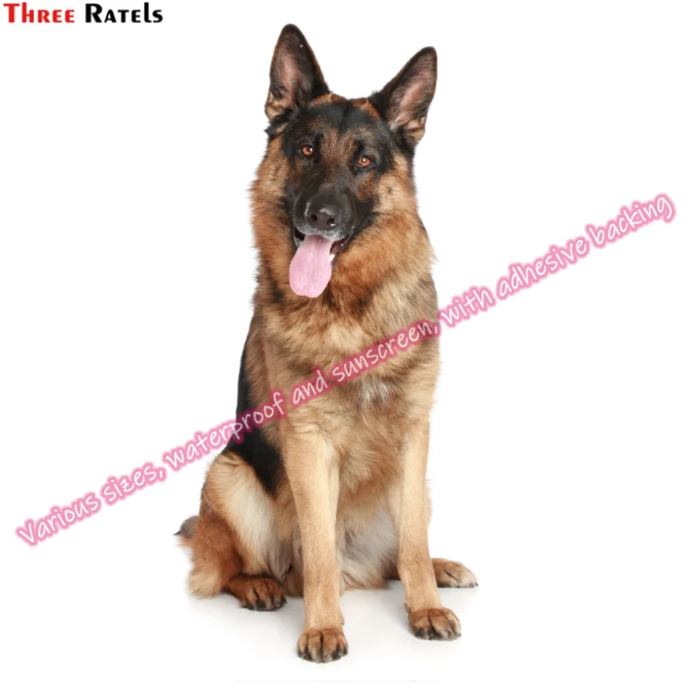 Three Ratels M223 Custom Stickers For Novelty Auto Supplies Useful Things for Cars Accessories for Mercedes W204 Laptop Decal