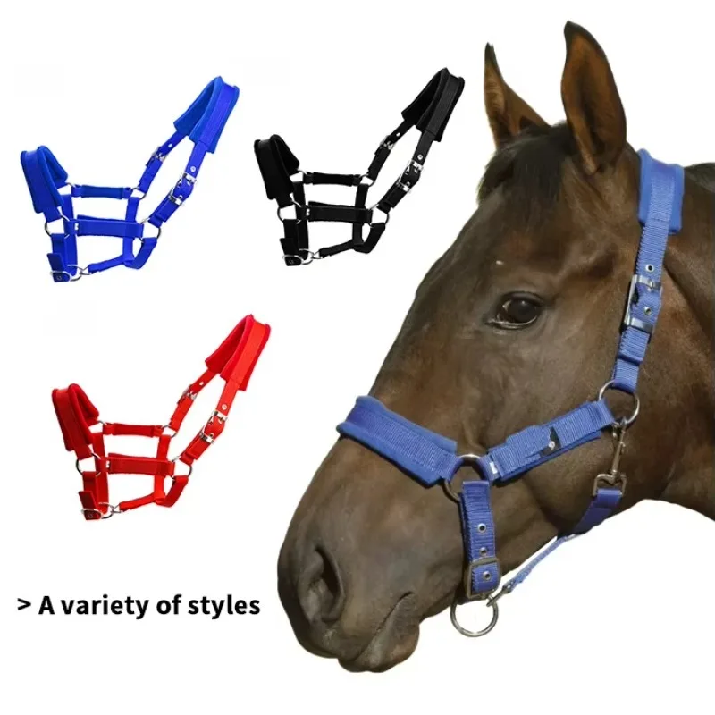 

Equine Products Customized Design Horse Accessories Hardware Head Collar Horse Nylon Horse Halter