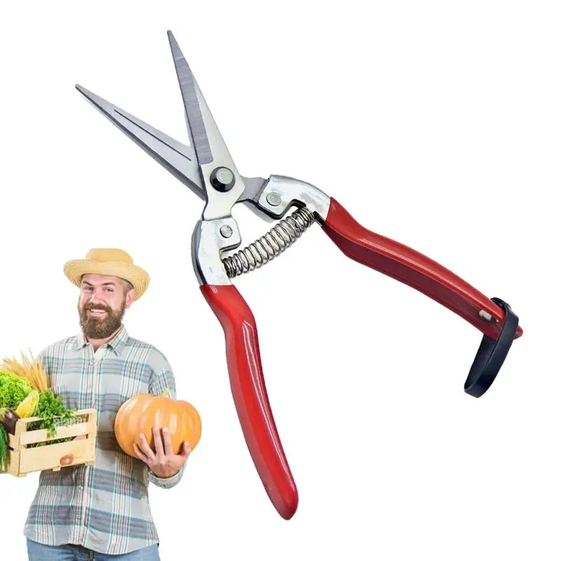 

Sturdy Fruit Tree Bonsai Gardening Pruning Shear Garden Scissors Pruner Tool Fruit Scissor Garden Scissor Fruit Tree Scissor