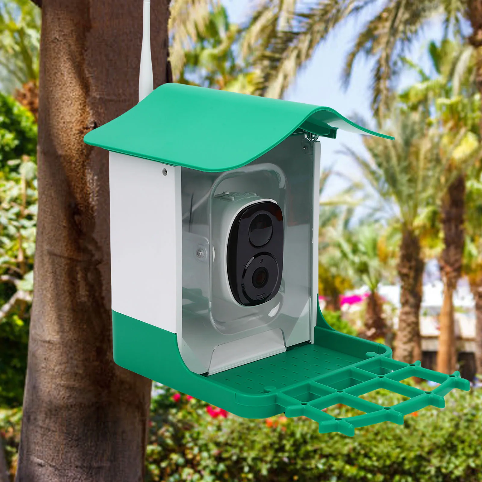 

Smart Bird Feeder with Camera Solar Panel HD Video Birds House Weatherproof Easy Using Durable for Effortless Bird Watching