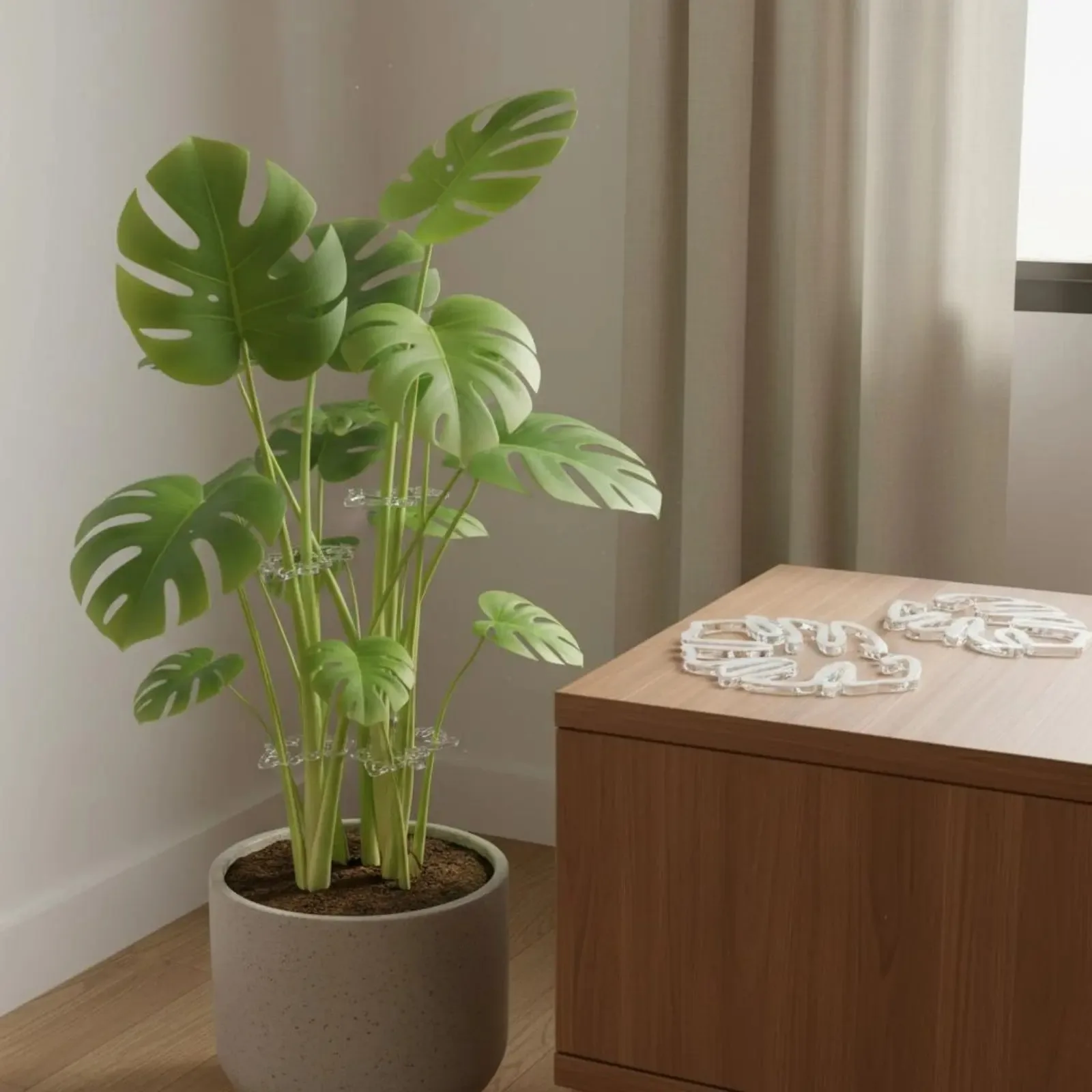 Monstera Foliage Plant Support Reusable Transparent Plant Support Loop Acrylic Stalk Holder No-Tool Installation