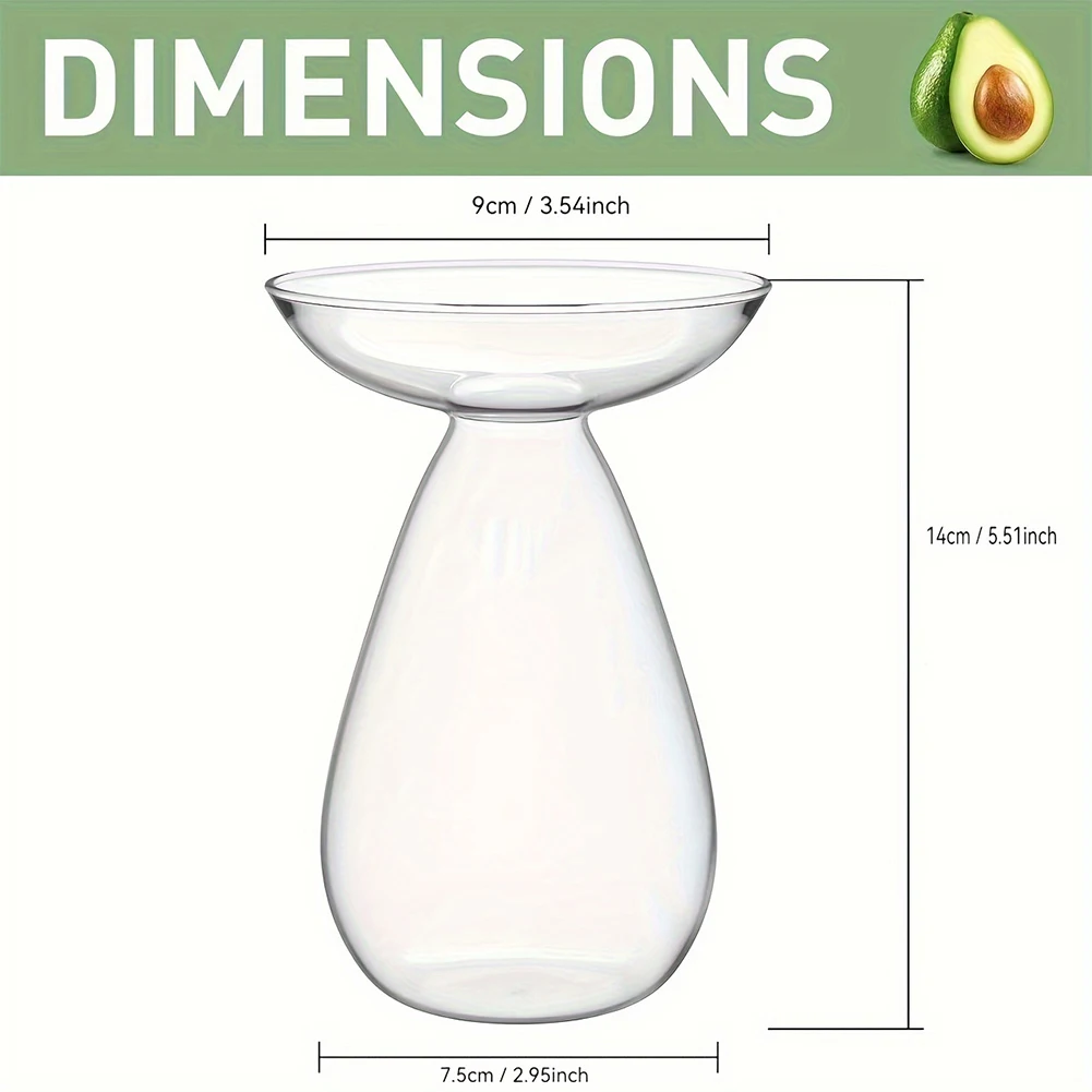 مزهرية بذور الأفوكادو شفافة مزهرية الأفوكادو المائية مزهرية زجاجية لشجرة الأفوكادو لمحبي البستنة