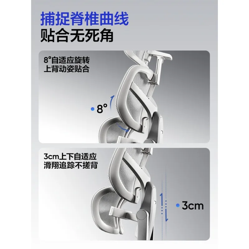 Ergonomic chairs, computer chairs, e-sports, office boss, sedentary study room home chairs