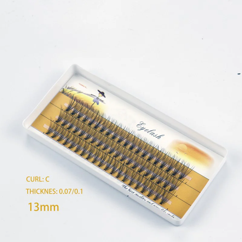 1 Box/60 Bunches Mink Eyelashes Natural 3D Russian Individual Eyelash Extension 10D Eyelash Cluster Makeup Tool Lashes Wholesale