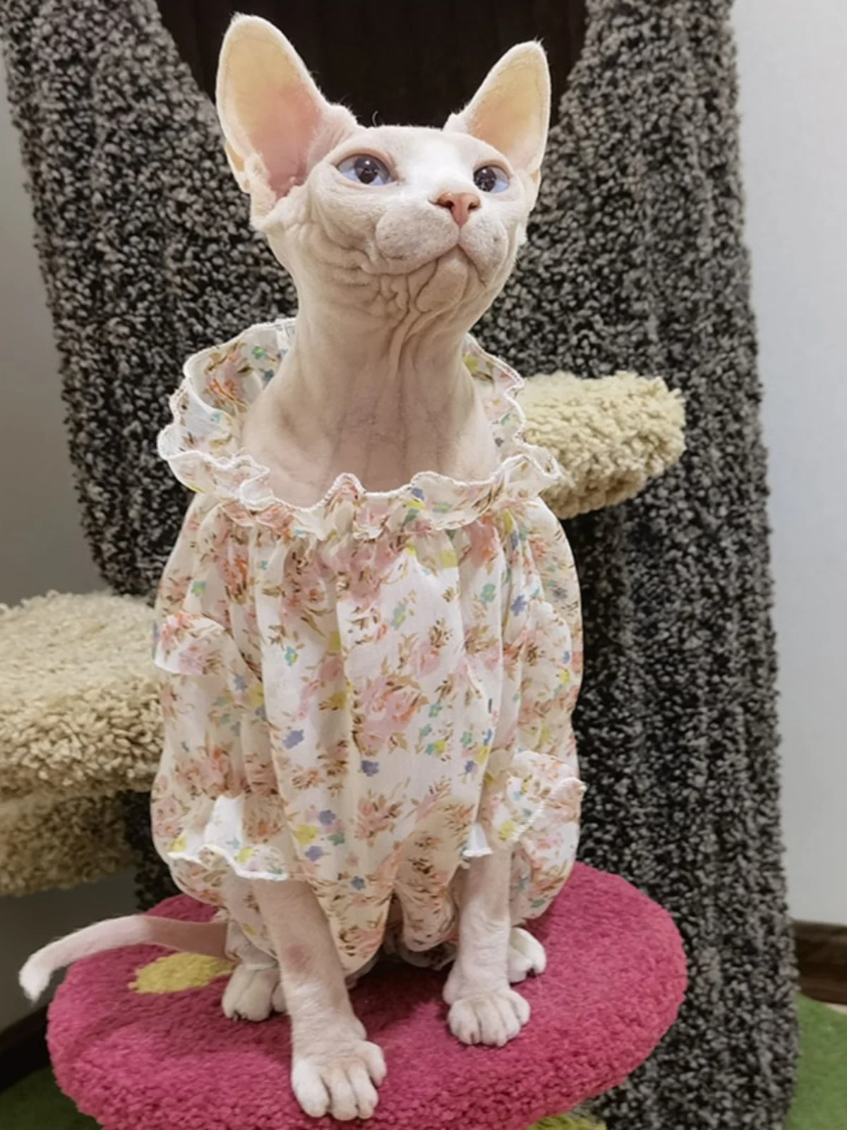 Chiffon Floral Dress for Sphynx Summer Sun Protection Shirt for Devon Rex Lightweight Breathable Cool Fabric Coat for Kittens