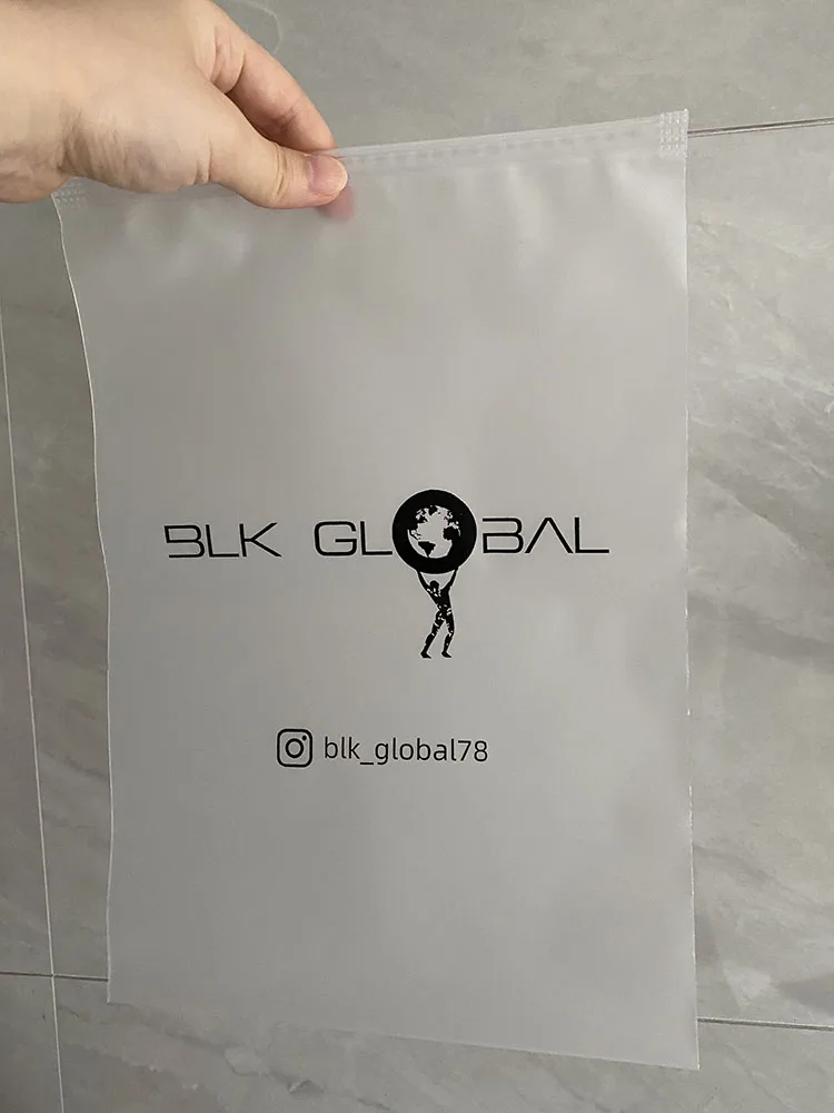 Ppao Custom Logo Frosted Clear Plastic Package Cloth Travel Storage Bag  Waterproof Bag Zipper Lock Self Seal Matte Portable