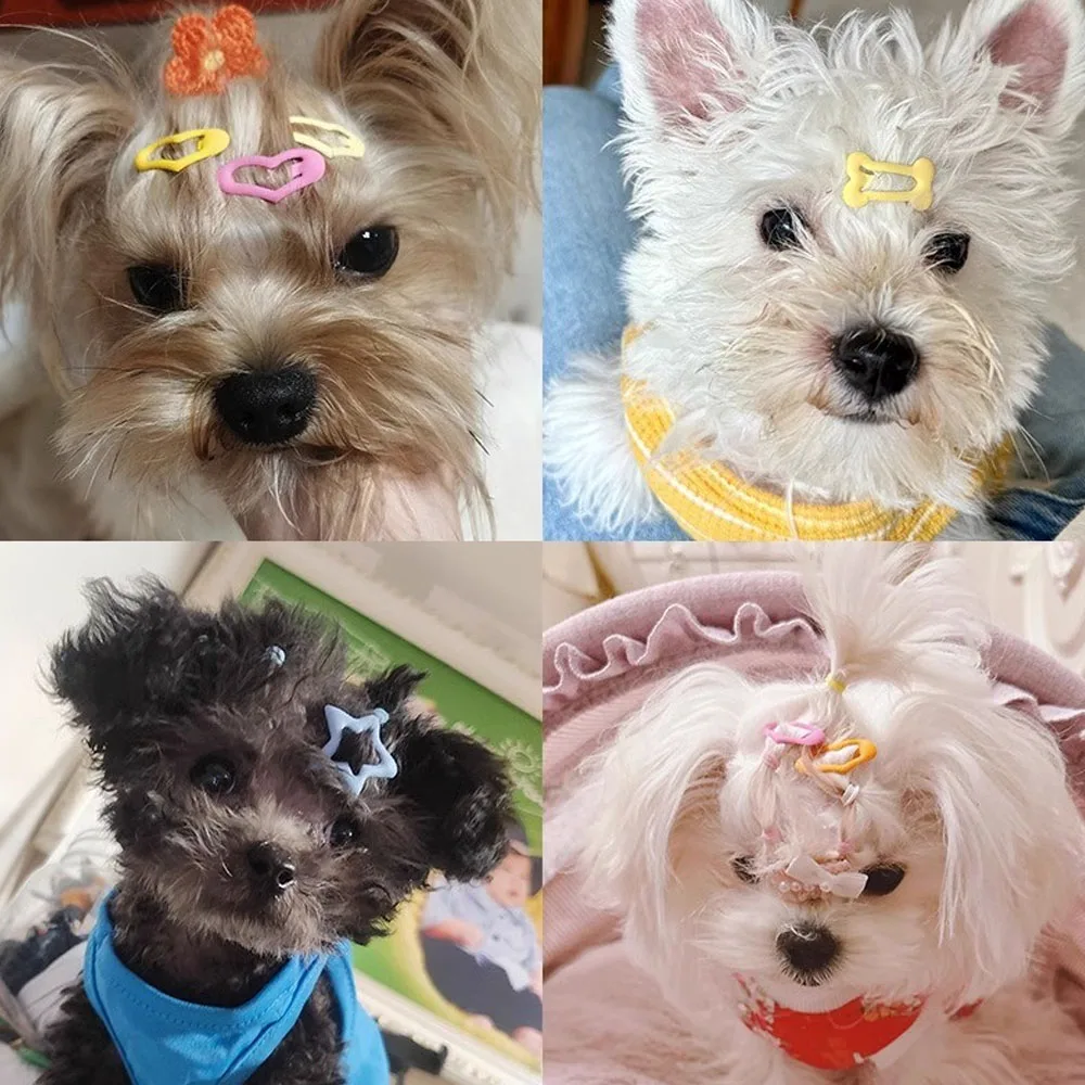 Thumbnail 2 - #8 Latest Puppy Bandanas Offers