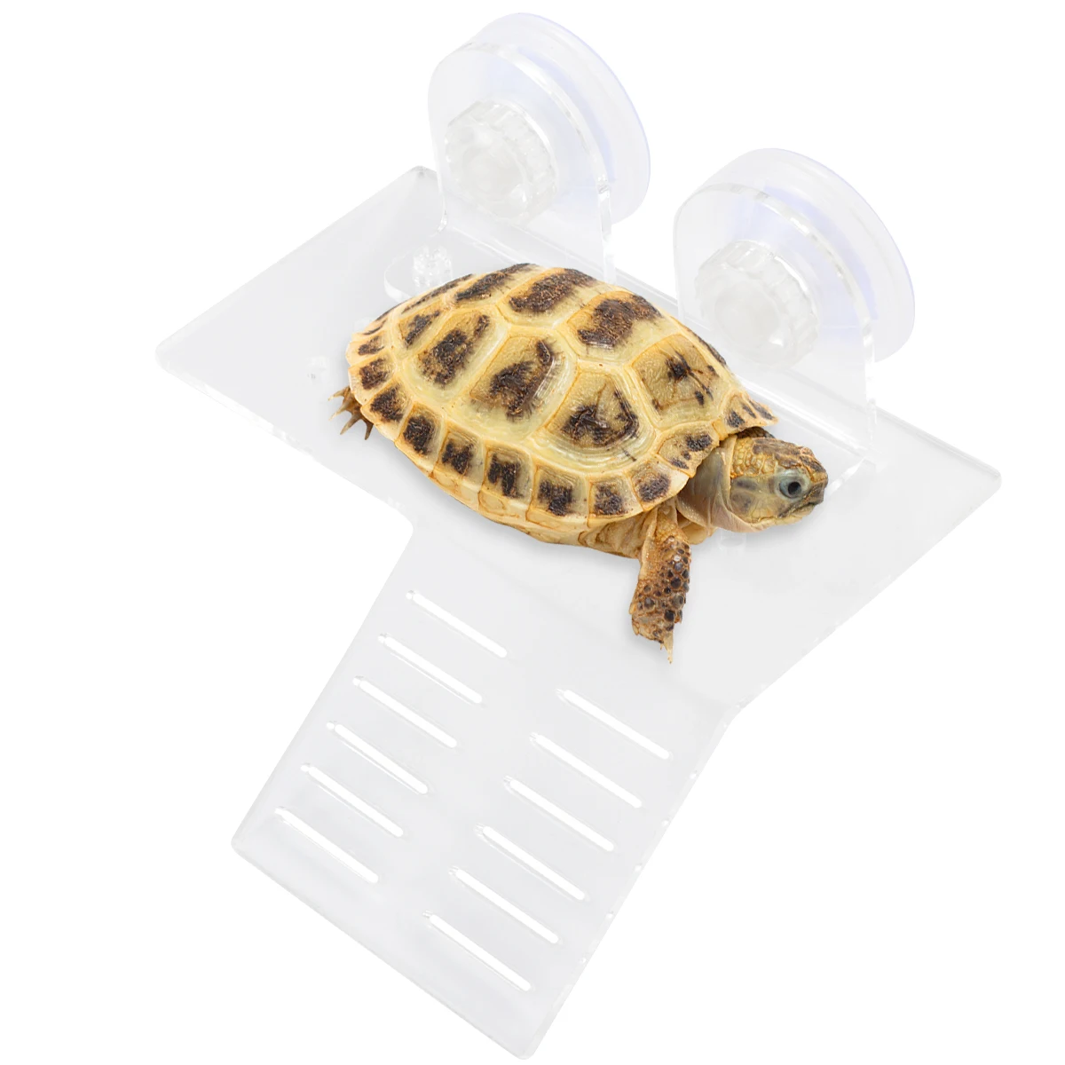 

Turtle Basking Platform Floating Island With Suction Cups White Size S For Aquatic Turtles Tank Decor Supplies