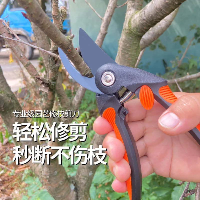 Pruning Scissors Strong Cut Flowers Pruning Shear Fruit Tree Pruning Branches Hortpark Floral Scissors Orchard Shears