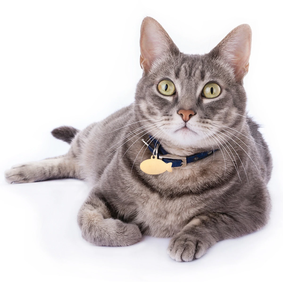 

2Pcs Cat ID Card Tag Shaped Dog Hanging Tags Reflective Stainless Steel Pet Pendent for Cats Dogs Durable Modern Design Pet