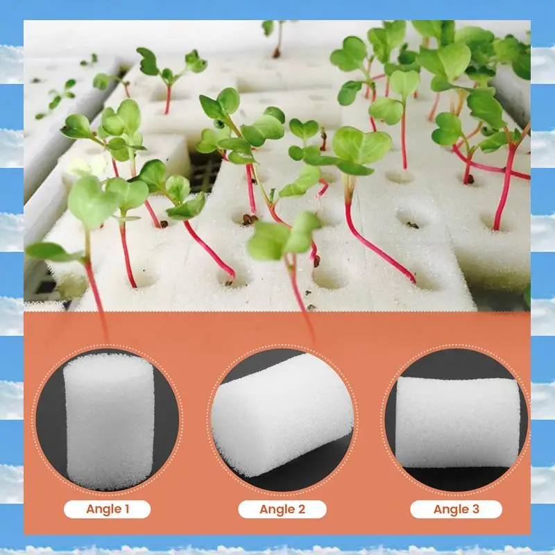 A11I 100 قطعة إسفنجة مائية أسطوانية 19 مللي متر لزراعة نباتات الخضروات في أواني الشبكة ، ملحقات نمو النباتات