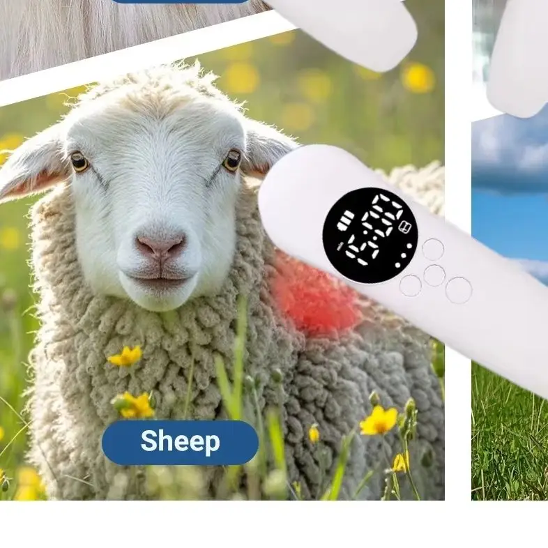 

Устройство для терапии красным светом для животных, 650 нм, 808 нм, холодный лазер с двойной длиной волны для лошадей, собак, кошек, артрита и пяточных шпоров, облегчение боли