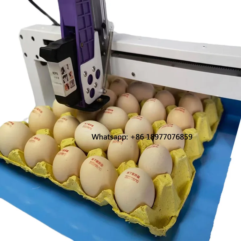 2026 Automatic Portable Desktop Egg Inkjet Printer DX5/DX7/XP600 Marking Head Edible Ink For Date/Logo/Batch Coding Flex Materia