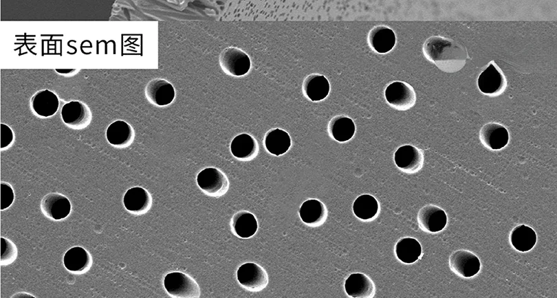 Polycarbonate nanofiltration membranes: diameter etching, nuclear pore filtration membranes, liposome extrusion, cell migration