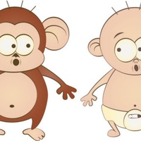 Adapter XT60 to XT90 EC5 EC3 T XT30 TRX Female Male Connectors Plug RC Lipo Battery Control Parts