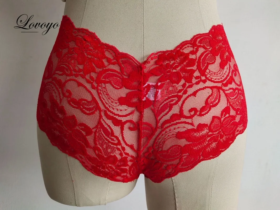 Floral Transparent Women Lace Panties Briefs High Rise Knickers Sexy Brief Underwear for Sex Ladies Brief Erotic Lingerie Sexy