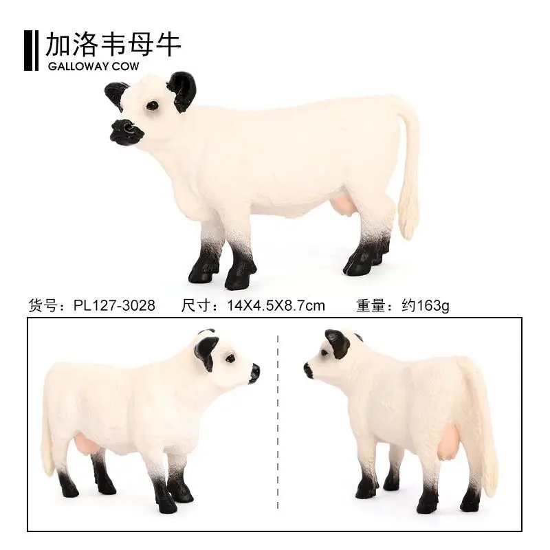 simulated wild cow solid animal model, Galloway cow, dairy cow, children's plastic toy ornament