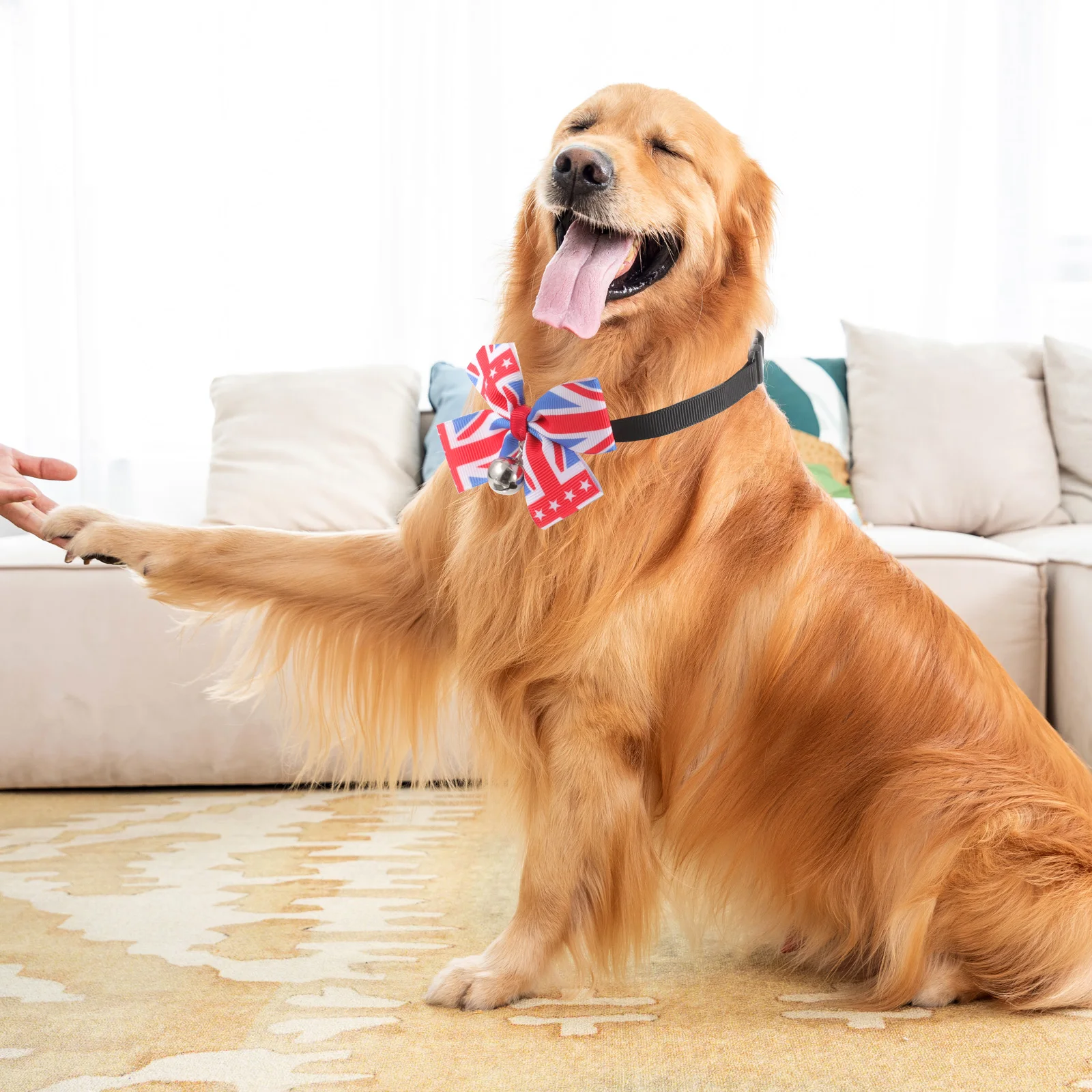 

pet necktie pet necktie and collar pet bow ties dog tie dog necktie adjustable pet necktie
