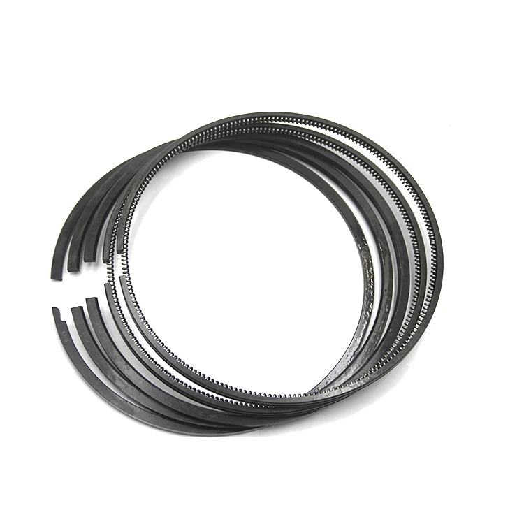 

Economical Custom Design Piston Ring for Niigata 6l25hx Bore 250mm Ship Engine Spare Parts