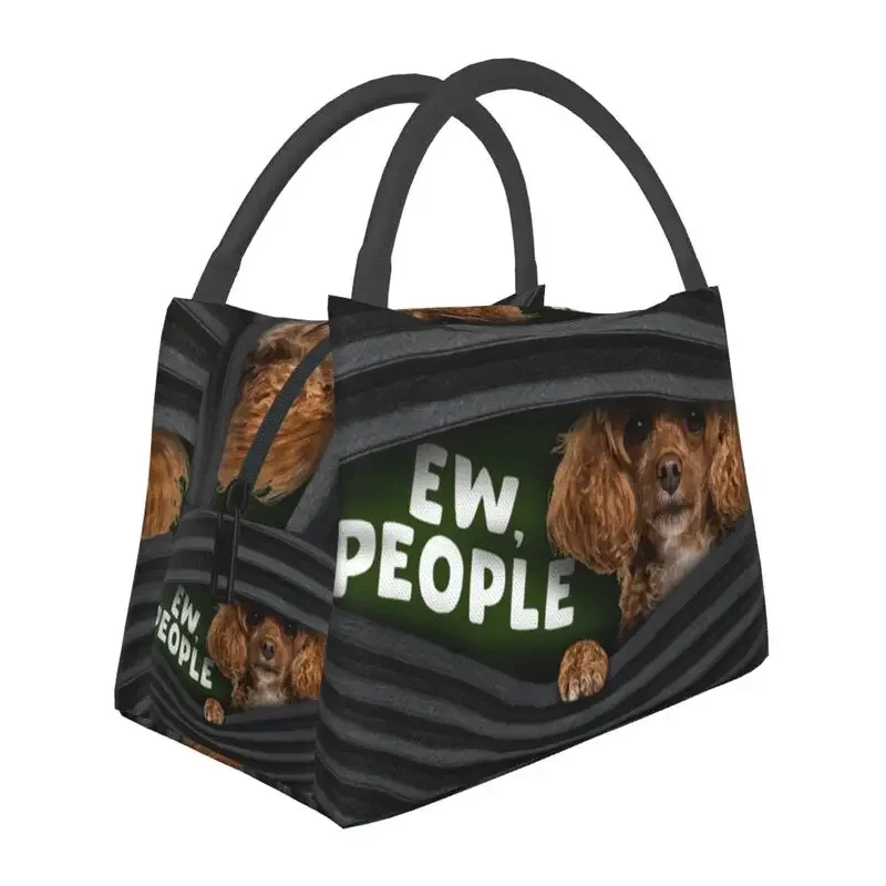 Funny Poodle Dog Thermal Insulated Lunch Bags Women Portable Lunch Tote for Outdoor Picnic Storage Meal Food Box