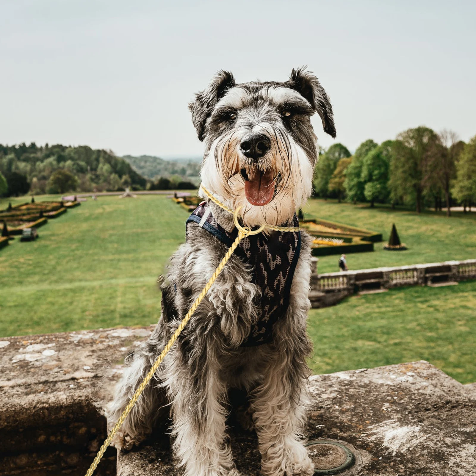 

Stainless Steel Dog Chain Wear-resistant Metal Leash Puppy Collar for Outdoor Household Use Lightweight Portable Pet Supply Dog