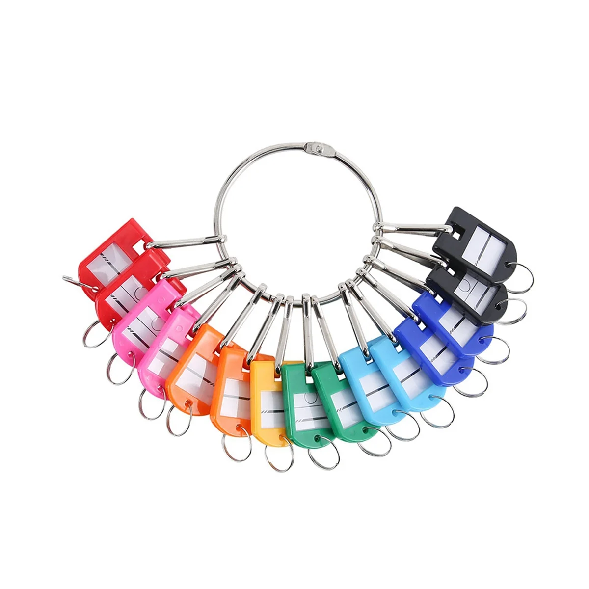 

Portable Metal Ring Key Organizer with 20 Spring Hooks & Key Tags with Ring and Label Window