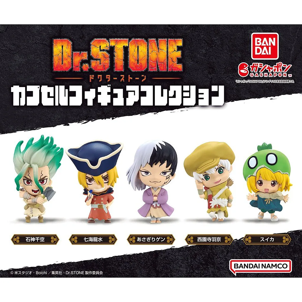 Gashapon Capsule Toy Japan Anime Dr.STONE Ishigami Senkuu Saionji Ukyo Asagiri Gen Mini Figures Table Ornaments Kids Gifts