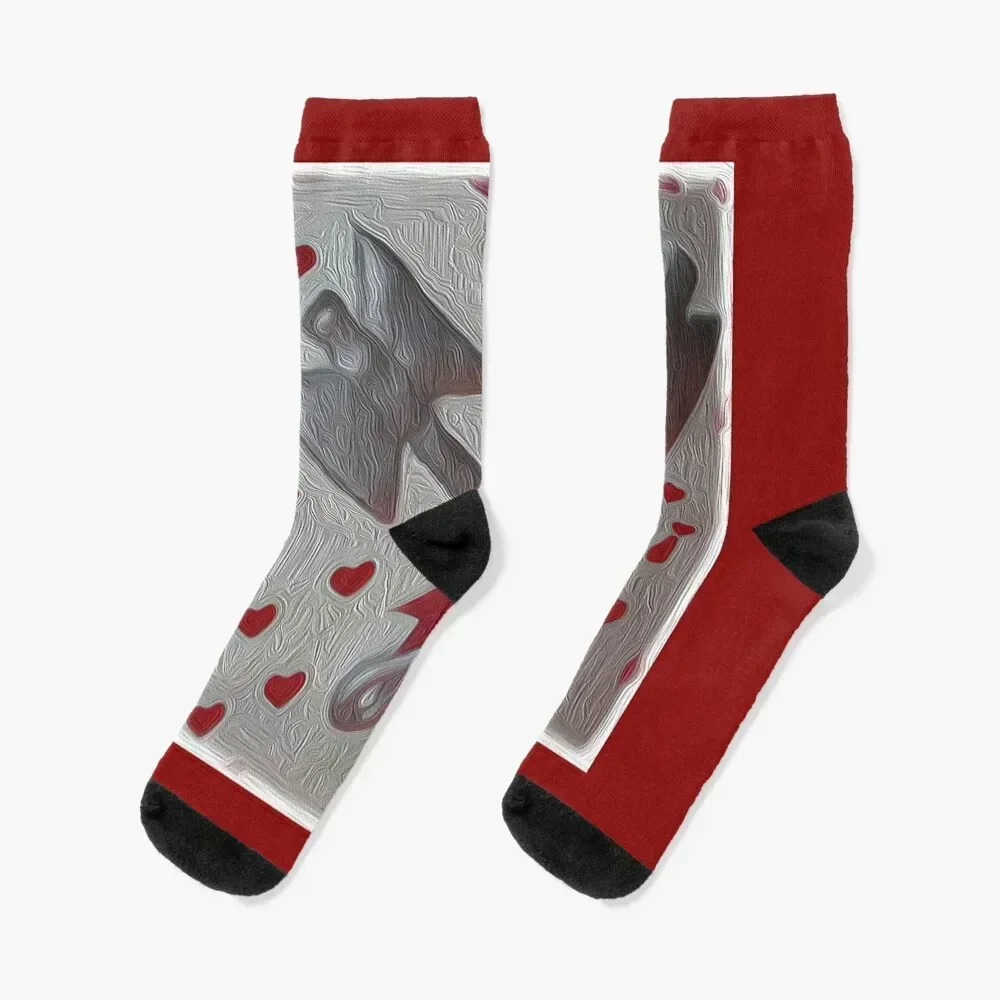 

xango ax Socks Crossfit crazy japanese fashion Boy Socks Women's