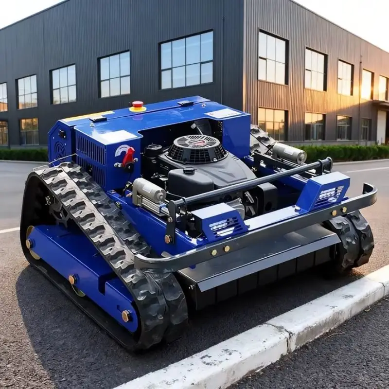 Customized Advanced…