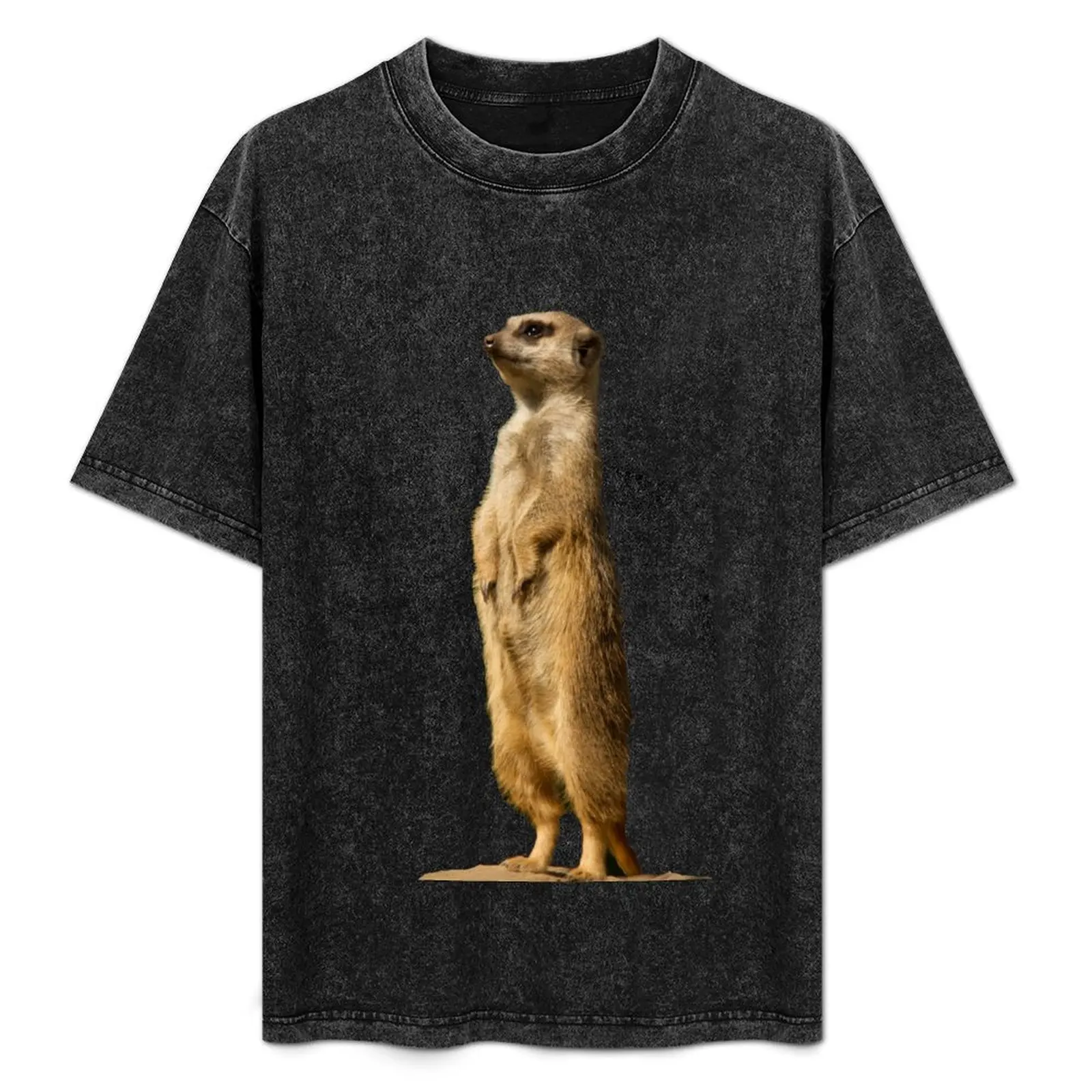 

Meerkat T-Shirt Plus Size Quick Dry Sports Tee