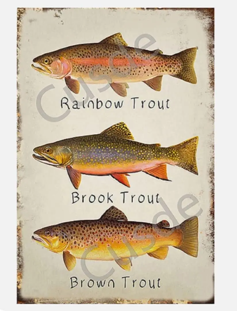Cusde Rainbow Trout Metal Tin Sign Brook Wall Art Brown Vintage Decor Poster Plaque Decoration Fun Novelty Garage Room