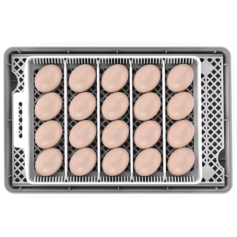 

Инкубатор с автоматическим поворотом яиц, вмещает до 20 яиц, высокоэффективный светодиодный дисплей, бруд и инкубация.