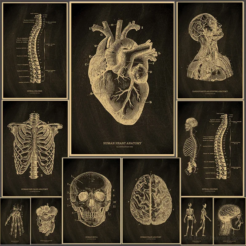 (2D canvas painting)  Heart/Skull/Brain Kraft Paper Poster Chalkboard Anatomical Skeleton Vintage Home Room Medicine Decor Me
