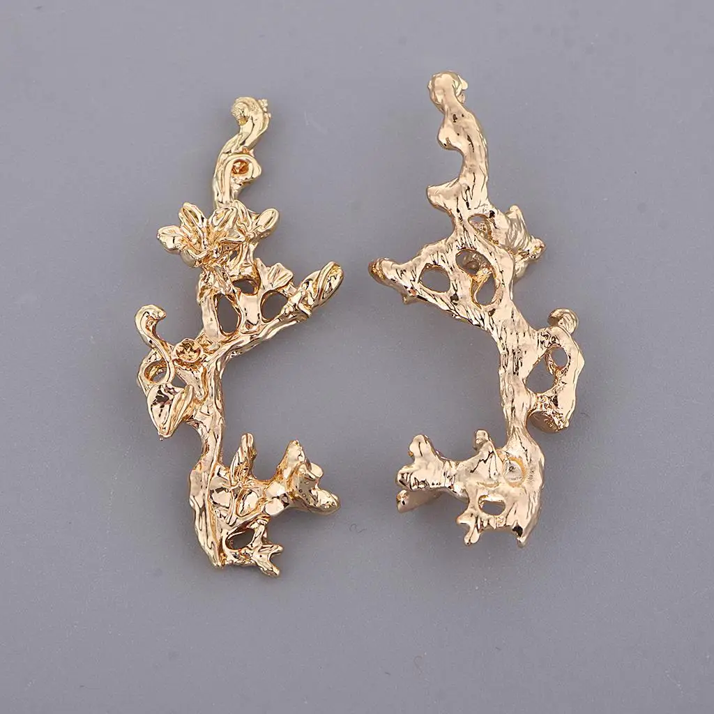 Forme di abbellimenti, ornamenti, orecchini e altri accessori