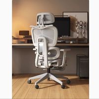 Ergonomic Chair Waist Support Office Chair 4D Armrest Computer Gaming Seat Lift Swivel Chair Home Furniture 3D Headrest