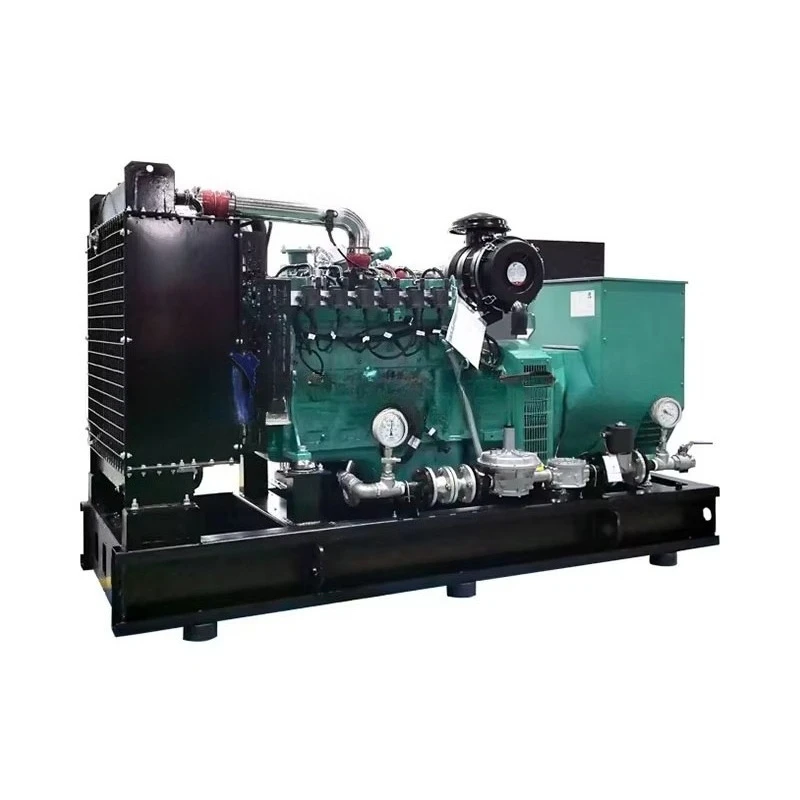 natural gas generator, with engine remote function, environmentally friendly, IP55 protection level, plug and play, supports g