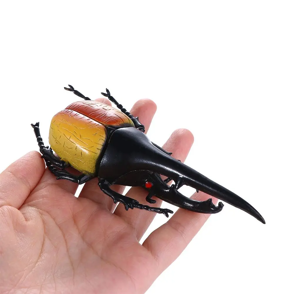 Aids Science Toy Kids Beetle Figures Joke Toys Fake Beetle Simulation Beetle Special Lifelike Model Beetle Toys Insect Model